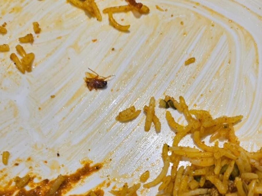 अंबिकापुर का बड़ा मामला — होटल ग्रैंड बसंत की थाली से निकला कॉकरोच, वीडियो वायरल!*