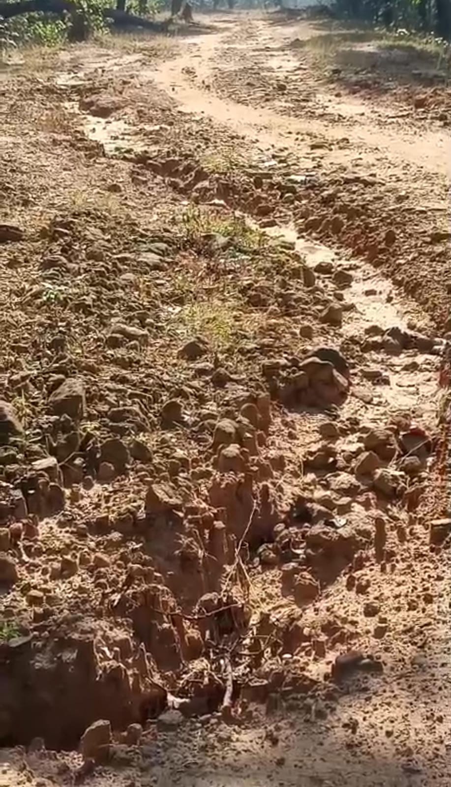 जर्जर सड़क या खतरे की खाई? सोनहत वार्ड-8 के बाशिंदे रोज़ जोखिम उठाने को विवश